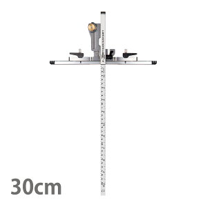 ۃmRKChK ߂TXCh XVtg 30cm pڐ @ H ʗpi K H V
