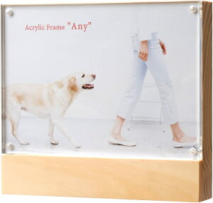 tHgt[ ʐ^ z ؐ ANt[ Gj[ 2L CeA  q LO