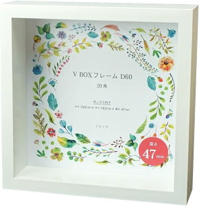tHgt[ ʐ^ z {bNX  V BOXt[ D60 20p Ԃ q 