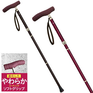   s XebL    VjA  nr s SOFT-G ܂ݎ \tgObv p jp hV̓