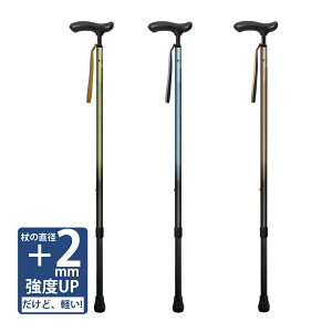 lINVJLk+  XebL  j   y s nr hV̓ v[g N pi N { Vim