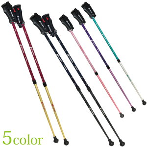 EH[LO|[uREVITAvV[Y lNXg 2{1g SҌ  Vim(SINANO)