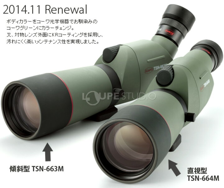 楽天市場】フィールドスコープ TSN-664M 直視型 KOWA コーワ 