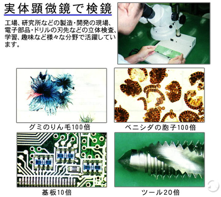楽天市場】変倍式実体顕微鏡 NSW-30SB 10倍30倍 カートン 顕微鏡 拡大 
