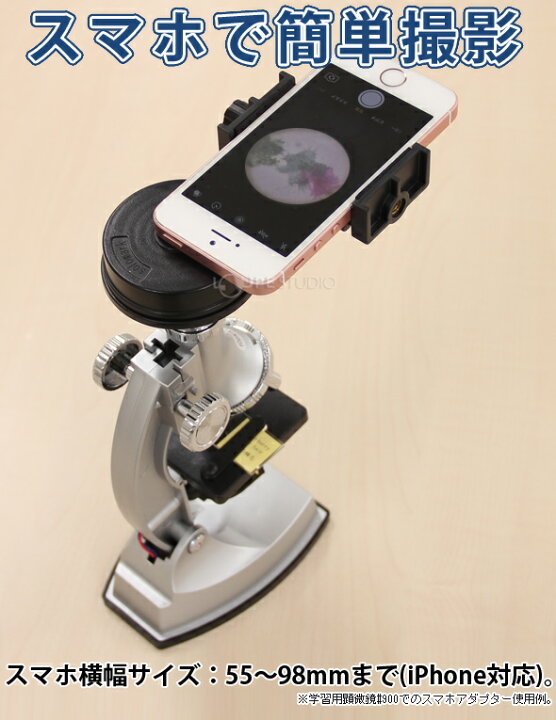 楽天市場 顕微鏡セット 子供 600倍 300倍 100倍 日本製 スマホ撮影セット 小学生 学習 マイクロスコープ プレパラート付 簡単 生物顕微鏡 ルーペスタジオ