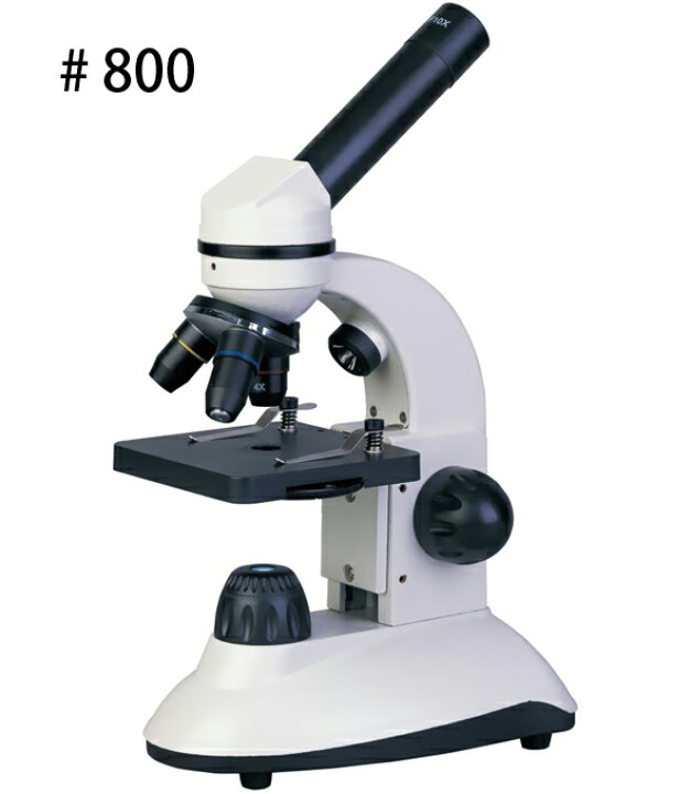送料無料 顕微鏡 実体顕微鏡 子供用 照明付 スライドガラス付 10倍拡大 上質