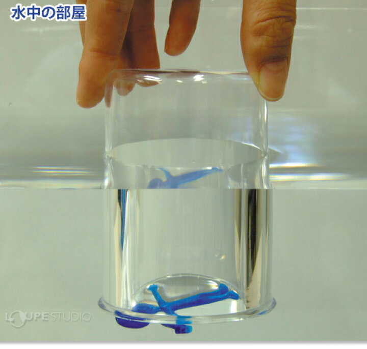 楽天市場 おふろで科学実験セット お風呂で実験 石鹸バズーカ 簡単 自由研究 小学生 中学生 科学 理科 キット おもしろ実験 工作 おもちゃ 室内 ルーペスタジオ