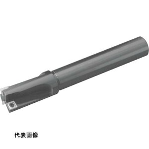 �~�[�����O�G���h�~�� ���Z�� ������G���h�~�� MEF [MEF17-S16] �̔��P�ʁF1 ��������