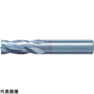 jIc[ dGh~ XNGA(V[vR[i)2.5×n6.25 H z H diy [C-CES4025S] ̔PʁF1