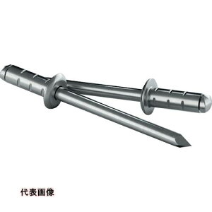 GESIPA �l�ߑւ��p���x�b�g PolyGrip[[R��]] �A���~/�X�`�[���� 100�{���� ��3.2mm×8mm [1433846] 1433846 �̔��P�ʁF1