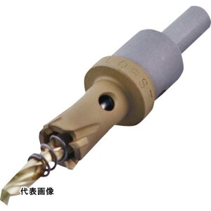 Gr dz\[(`^R[eBO) 17mm [HO17G] ̔PʁF1 