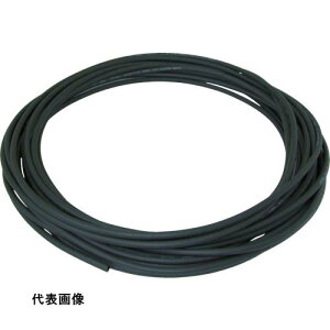 `_ |E^`[u GtbNXdǃ`[u a10mm/S20m   [LE-10-20 BK] ̔PʁF1 