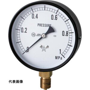 �E�� �X�^�[ (���͌v)(A�g���^�E��75) ���̓����W0.0~2.50MPa [S-31-2.5MP] �̔��P�ʁF1