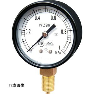 �E�� �X�^�[ (���͌v)(A�g���^�E��60) ���̓����W0.0~0.25MPa [S-21-0.25MP] �̔��P�ʁF1