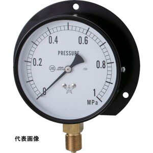 �E�� �X�^�[ (���͌v)(B�g���^�E��100) ���̓����W0.0~0.60MPa [S-42-0.6MP] �̔��P�ʁF1