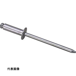 �G�r �u���C���h���x�b�g(�A���~/�A���~��) 5-5(1000�{��) ���� [NA55] �̔��P�ʁF1 ��������