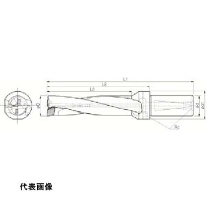 hOh Z }WbNh DRZ^pz_ H[4×DC [S25-DRZ2496-08] ̔PʁF1 