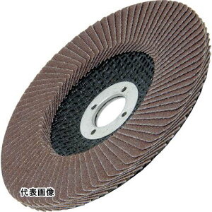 �H�� ���� �������� AC �e�N�m�f�B�X�N�EA(S�^�C�v) �O�a×���a:100×15mm ���x(#)60 [TDS10015-A-60] 5���Z�b�g ��������
