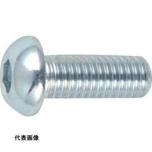 �L���b�v�X�N�����[ TRUSCO �g���X�R���R �Z�p���t�{�^���{���g �O���� �S�l�W M4×15 23�{�� [B774-0415] �̔��P�ʁF1