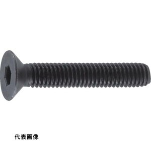 LbvXN[ TRUSCO gXRR ZptM{g  SlW M6×30 35{ [B73-0630] ̔PʁF1