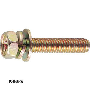 TRUSCO �g���X�R���R �\�����t�A�v�Z�b�g�g�� P=3 �N�����[�g M6×16 55�{�� /(+)�A�v�Z�b�g�{���g �΂ˍ���+JIS���b�V���[�t�� [B68-0616] �̔��P�ʁF1