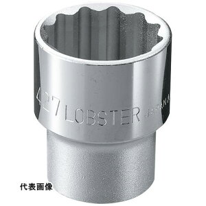 �G�r �\�P�b�g 12�p 19.0mm �����p12.7mm [LM419] �̔��P�ʁF1