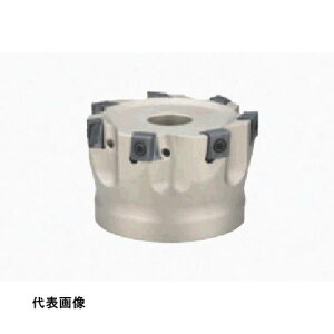 �~�[�����O�J�b�^�[ �^���K���C �e�b�N�E�~�� �{�A�^�C�v�J�b�^ TPM [TPM11R100M31.7-11] �̔��P�ʁF1 ��������