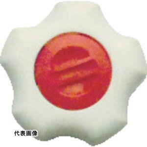 �O�� �t�B�b�g�m�u M8 �{��/�� �L���b�v/�� (5����) [FIT-W-M8-R-5P] �̔��P�ʁF1