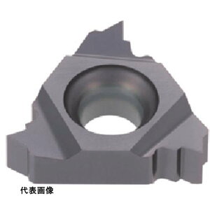 �^���K���C �^���O�E�X���b�h �O�a�pNPT�˂��C���T�[�g ER-NPT AH725 [16ER18NPT-B AH725] 5�Z�b�g ��������