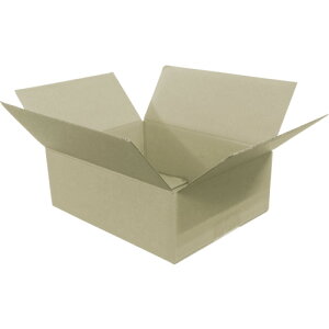 IRIS 573107 �_���{�[�� 220×170×80 [M-DB-40B] 10���Z�b�g