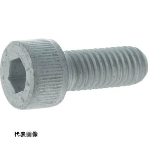 TRUSCO gXRR yؔpԁzx敪14.9xZpt{g f^veNg SlW M12×50 2{ /Lbv{g(CAP) [Y149D-1250] Y149D1250 ̔PʁF1