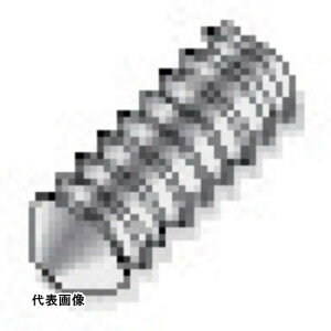 ^KC i ߕt˂ [SR M10X10 DIN916] ̔PʁF1