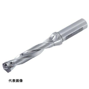 �h�������O�h���� �^���K���C �w�b�h�������h���� �h�����E�}�C�X�^�[ TID-F(L/D=5) [TID160F20-5] �̔��P�ʁF1 ��������