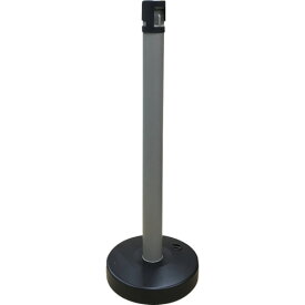 CAR-BOY カラープラポールセット キャップブラックピラーグレーベースブラック [CP-05CL6415] 販売単位：1