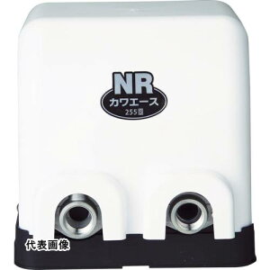 ��{ �J���G�[�X [NR256S] �̔��P�ʁF1 ��������