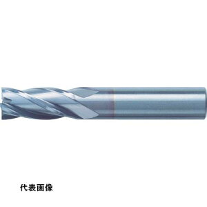 jIc[ dGh~ XNGA(V[vR[i)2.5×n6.25 [C-CES4025S] ̔PʁF1