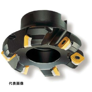 �~�[�����O�J�b�^�[ SANDVIK �R���~��245 ���ʃt���C�X�J�b�^�[(450) [R245-080Q27-12M] �̔��P�ʁF1 ��������