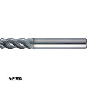 MOLDINO ���d���W�A�X�G���h�~�� �G�|�b�NSUS�}���` EPSM4050-R0.2-PN [EPSM4050-R0.2-PN] �̔��P�ʁF1 ��������