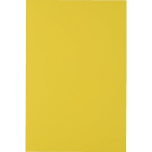 TRUSCO gXRR }OlbgV[gL200X300  [MS-A2-Y] ̔PʁF1