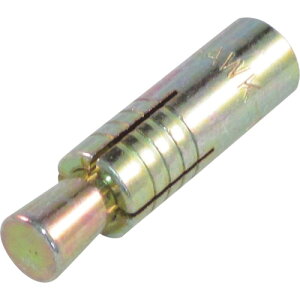 P[EGtEV[ z[NEJbgAJ[CA^Cv X`[ [10CA] 100{Zbg 