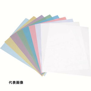 TRUSCO gXRR bsOtBV[g 230mm×280mm#4000 10 [TLF-4000] ̔PʁF1