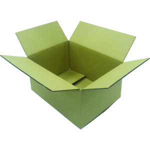 IRIS 553526 i{[BOX DB-S6 [DB-S6] 10Zbg