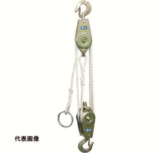 蓮`FubN HHH [vzCXg 250kg g3m [RH250] ̔PʁF1 