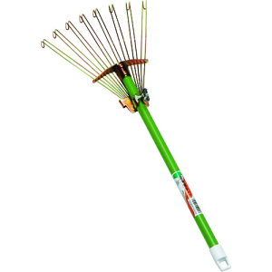 ؍H ǕϐgF() [12041] 12041 ̔PʁF1