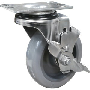 v[gXeXLX^[ E^ SAMSONG XeXLX^[ SPt E^ 100mm [TP5140-01-PLY-TLB] TP514001PLYTLB ̔PʁF1