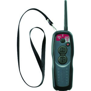 Z R REC`p [B-60800183] B60800183 ̔PʁF1 