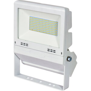 NICHIDO LED ݗptbgCg50W  [LJS-FH50D-W-50K] LJSFH50DW50K ̔PʁF1 