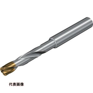 SANDVIK �R���h����860�]GM ���d�\���b�h�h����(720) X1BM [860.1-0820-067A1-GM X1BM] 860.10820067A1GM �̔��P�ʁF1 ��������