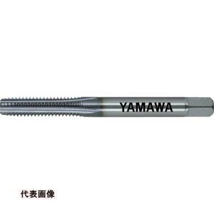 ���}�� ���d�x�|�p���d�n���h�^�b�v EH-CT P3 M6X1 5P [EH-CT-P3-M6X1-5P] EHCTP3M6X15P �̔��P�ʁF1 ��������