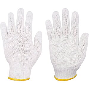 ~^j #TKB-600 {SC [202538] ̔PʁF1